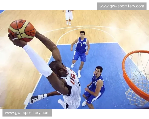 篮球入口：一扇通往篮球世界的温柔之门